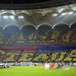 custeaua