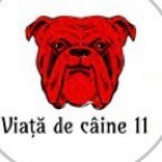 viata_de_caine